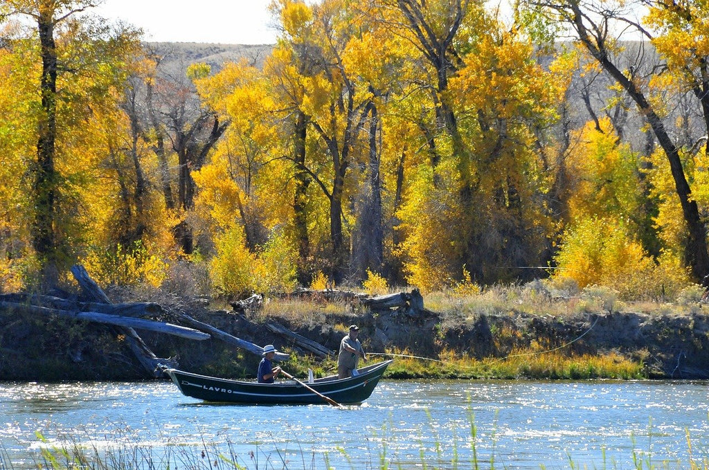 Members weigh in on their favorite fall fishing gear
